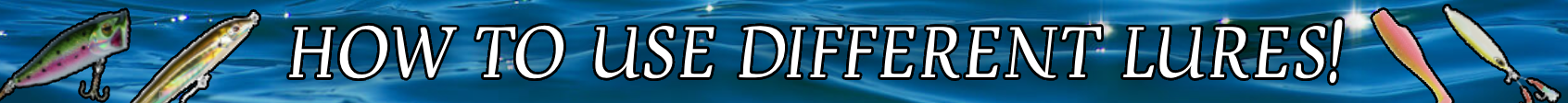 bannerimage