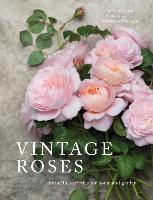 Vintage Roses : Beautiful Varieties for Home and Garden