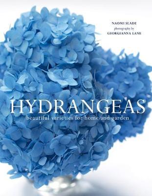 Hydrangeas : Beautiful Varieties for Home and Garden