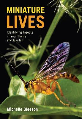 Miniature Lives : Identifying Insects in Your Home and Garden