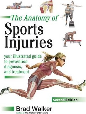 Sports Injuries : Your Illustrated Guide to Prevention, Diagnosis and Treatment